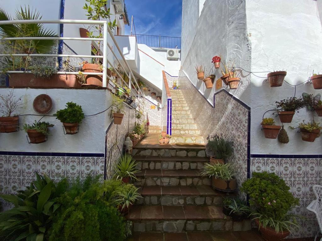 Buddhalounge Apartments Ronda Kültér fotó